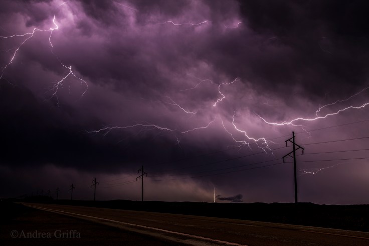 43668296881_d49ddc3080_o (1).jpg